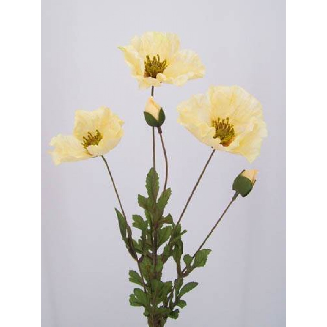 Silk Poppies Gold Yellow 70cm | Artificial Flowers